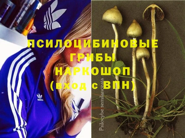 кокаин перу Касимов